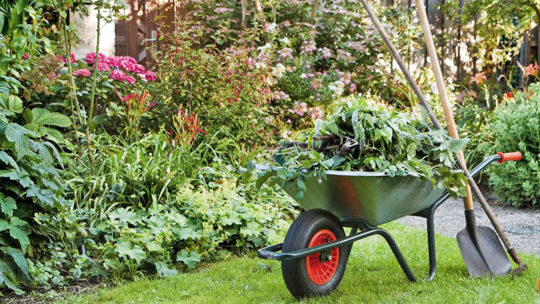 L’été arrive, préparez votre jardin