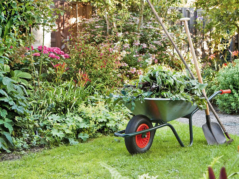 L’été arrive, préparez votre jardin